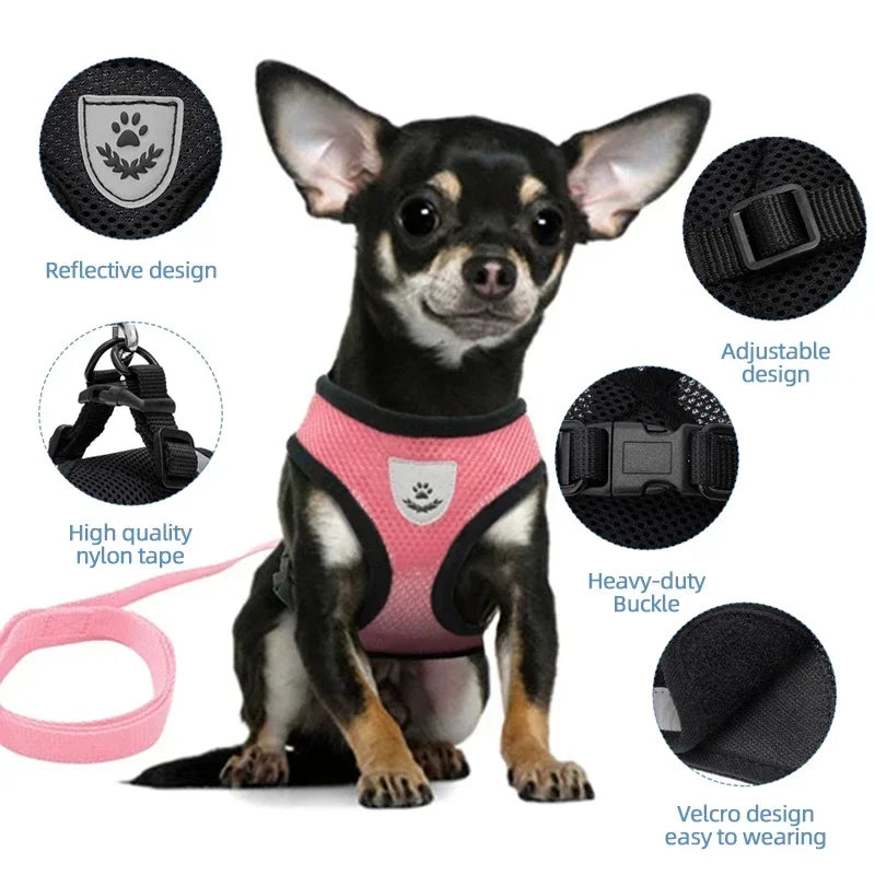 Chest harness for small and medium-sized pets.
