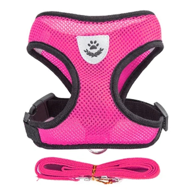 Chest harness for small and medium-sized pets.