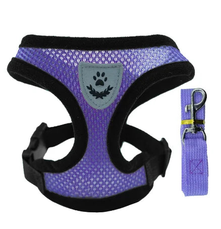 Chest harness for small and medium-sized pets.