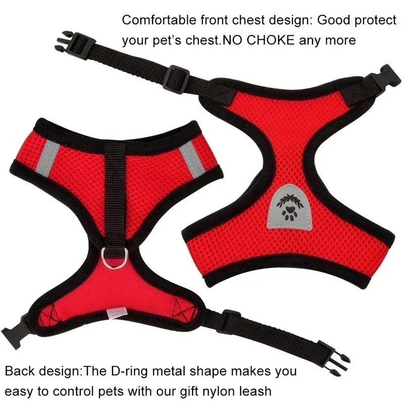 Chest harness for small and medium-sized pets.