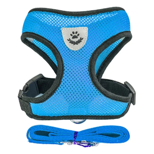 Chest harness for small and medium-sized pets.