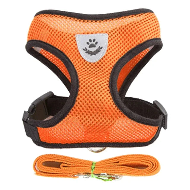 Chest harness for small and medium-sized pets.