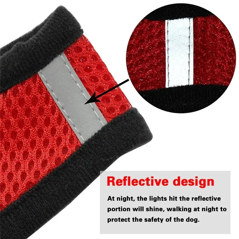 Chest harness for small and medium-sized pets.