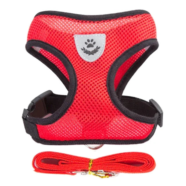 Chest harness for small and medium-sized pets.