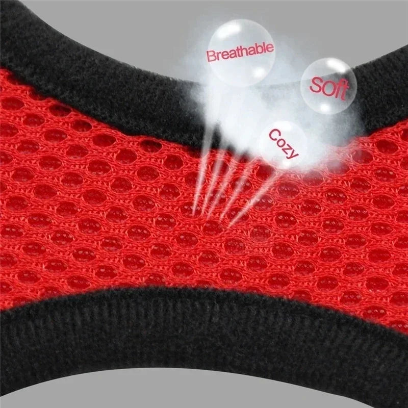 Chest harness for small and medium-sized pets.