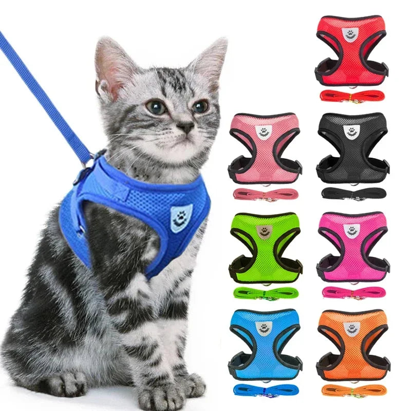 Chest harness for small and medium-sized pets.