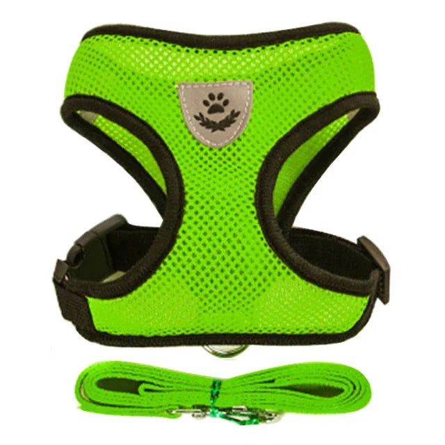Chest harness for small and medium-sized pets.
