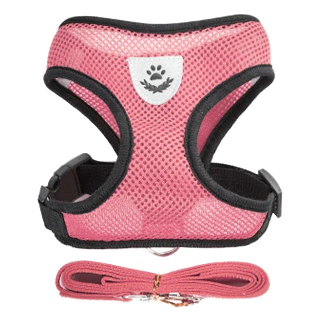Chest harness for small and medium-sized pets.