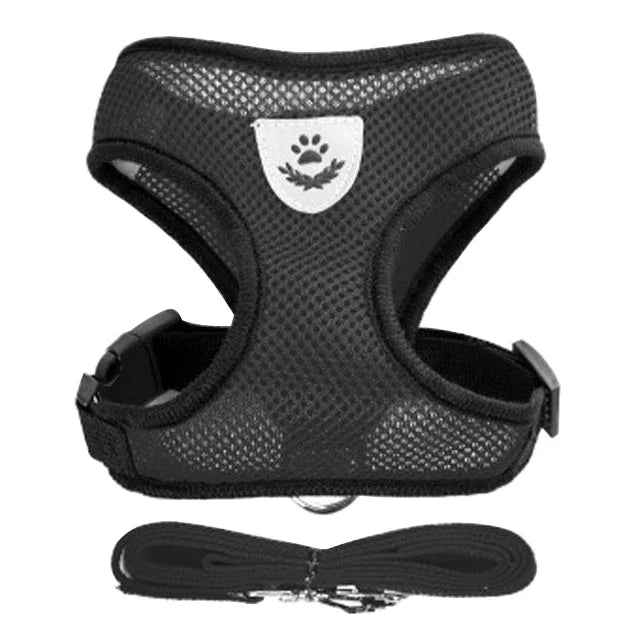 Chest harness for small and medium-sized pets.