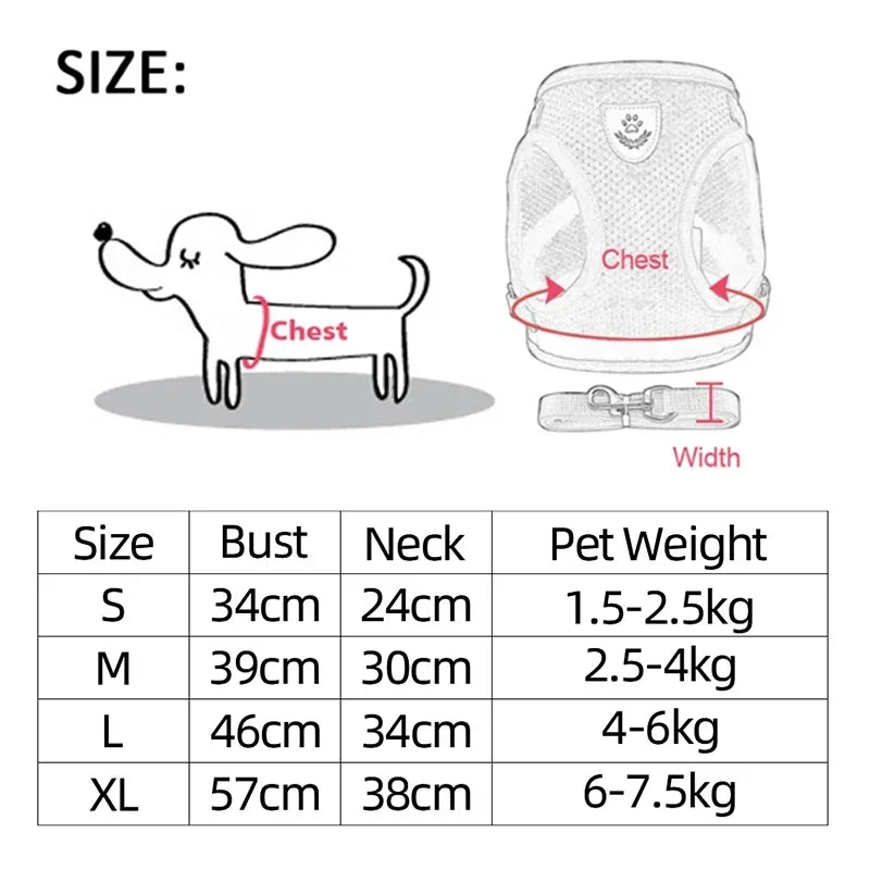 Chest harness for small and medium-sized pets.
